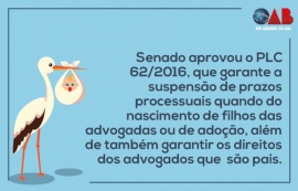 Lei garante suspenso dos prazos para mes advogadas